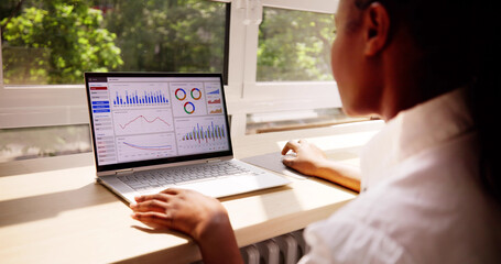 African American Business Woman Analyst