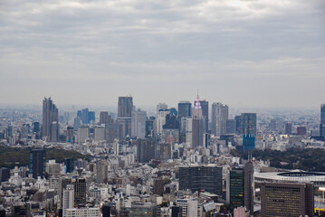 Fototapeta na wymiar 東京新宿方面のビル群