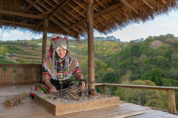 Hill tribe Asian woman in traditional clothes collecting tea leaves with basket in tea plantations terrace, Chiang mai, Thailand collect tea leaves