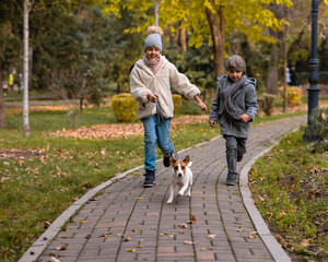 Fototapeta premium Brother and sister walk the dog in the park in autumn. Boy and girl running with jack russell terrier on a leash. 