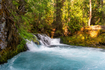 Fototapeta premium Waterfall in Oregon Forest in the Cascades with River and Bridge