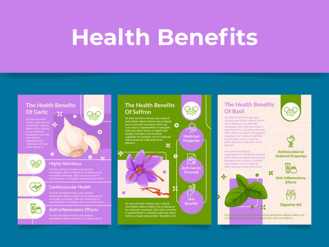 Health benefits garlic saffron basil scheme medical education poster set vector illustration