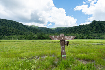 尾瀬ヶ原の風景