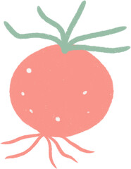 Hand drawn Vegetable Illustration