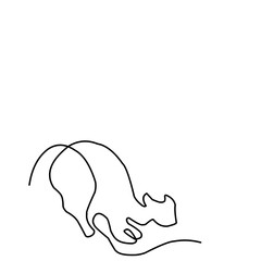Continuous Line Cat