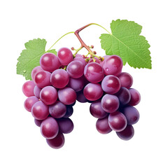 Bunch of red Grapes on transparent background Remove png created with Generative AI, Clipping Path