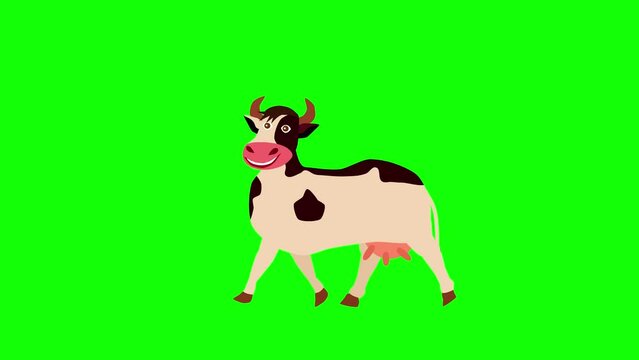 Cute cartoon cow walking animation green screen