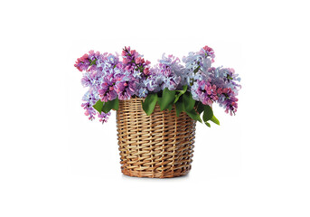 Fototapeta na wymiar beautiful lilac flowers in basket isolated on white MADE OF AI 