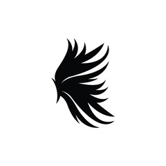 Wing Logo Design, Vector Eagle Falcon Wings, Beauty Flying Bird, Illustration Symbol
