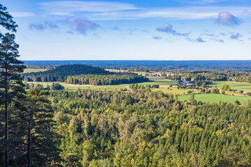 Fototapeta na wymiar Aerial view at a woodland in the swedish countryside