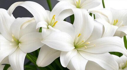 Obraz na płótnie Canvas Beautiful decorative white lily flowers. Generative AI.