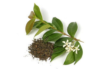 Fototapeta na wymiar jasmin tea leaves isolated