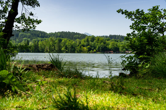der ruhige schöne Tüttensee liegt in Bayern mitten im Wald in der Natur