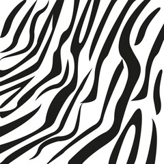 Vector zebra print - black lines on a white background. Animal print.