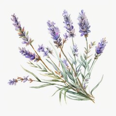 Watercolor fresh lavender clipart generative AI