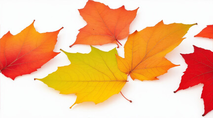 Fall leaves autumn are laying down on a white background. Generative AI.