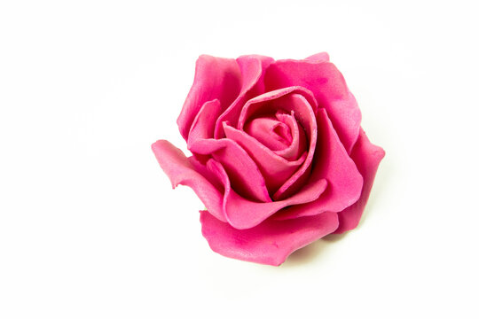 pink rose on white background, studio shot, valentine