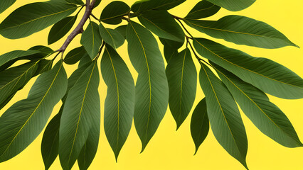 Fototapeta na wymiar Tropical green foliage seamless pattern on bright yellow backdrop for background