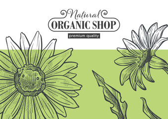 Organic shop, store with natural products cosmetic