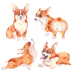 A set of corgi dogs in different poses. Watercolor illustration on a white background. Sitting, running, doing yoga. Cute and fluffy puppy.