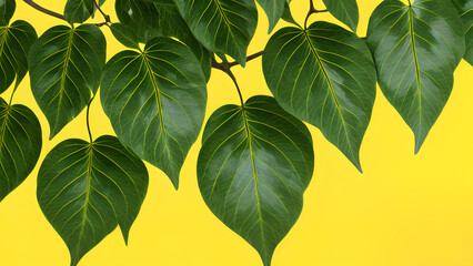 Tropical green foliage seamless pattern on bright yellow backdrop for background