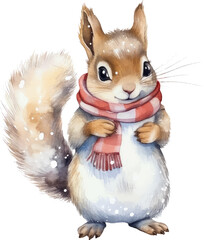 winter squirrel ornament watercolor vector illustration - obrazy, fototapety, plakaty