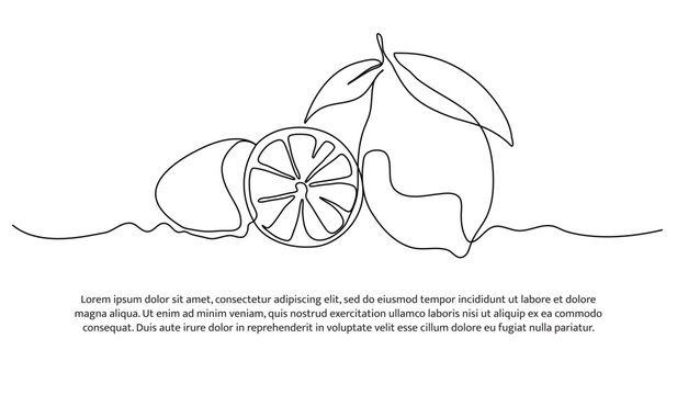Lemon one continuous line design. Fruits symbol design concept. Decorative elements drawn on a white background.