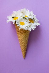 flower in waffle ice cone.Daisy bouquet ice cream on violet background.Floral greeting card for Mothers day, birthday.Tender cover design and accessories print.