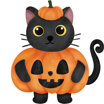 black cat in pumpkin costume clip art preview