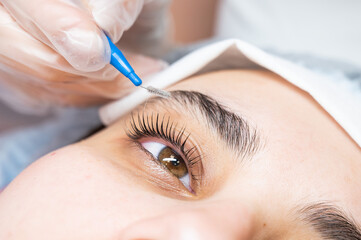 The master combs the eyelashes of the client after the lamination procedure. 