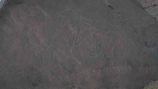 Rock carvings depicting elephants Tassili N'Ajjer Tadrart Rouge Algeria