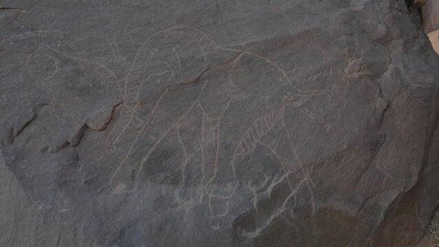 Rock carvings with elephant pooing Tassili N'Ajjer Tadrart Rouge Algeria