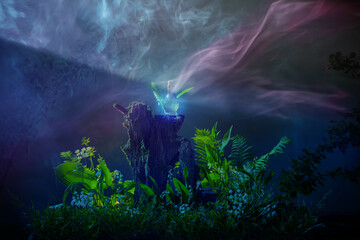 bottle of magic potions in  magical forest