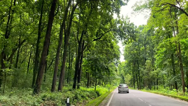 Dehradun Uttarakhand India 03 04 2022. Mountain highway road in the forest with car traffic and huge green trees.Aerial view of the forest.