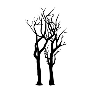 silhouette of a dried tree