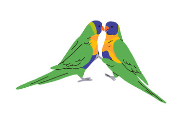 Tropical lorikeets parrots. Exotic lori birds couple. Colorful-feathered parakeets, jungle rainbow loriinae. Cute wild birdies together. Colored flat vector illustration isolated on white background