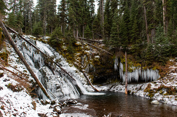 waterfall in the forest
