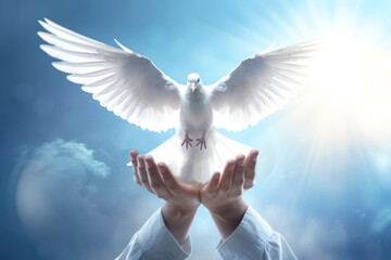White dove in hand for peace or freedom symbol
