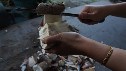 left hand with gold bracelet, holding cassava, right hand holding big knife peeling off the skin of...