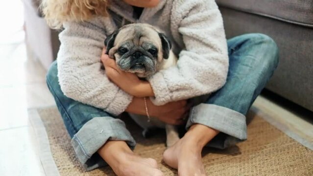 Woman and dog love and friendship concept scene with one adult female sitting on the floor at home hugging her old lovely dog pug with arms and legs. Animal love lifestyle protection concept forever