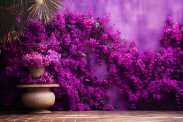empty wooden floor and purple bougainvillaea flower vain with a wall in background