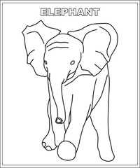 elephant illustration coloring book page, animal coloring book for children