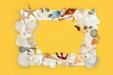 Seashell and seaweed background border with assorted white shells on yellow background with white...