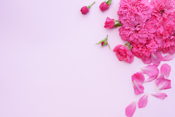 Composition, frame corner folded from pink roses. Pink background and place for text. Roses flowers pattern top view, flat lay, copy space for text. Banner.