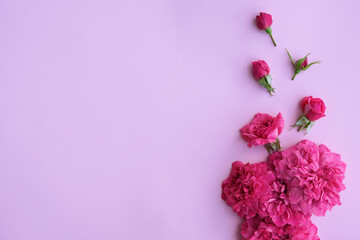 Decorative frame with pink bright roses on pink background. Flat lay,  top view, copy space. Background for Mother's Day, St. Valentine's Day, March 8.