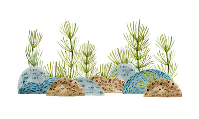 Forest landscape, border, background - stones, hummocks, grasses, horsetail, fern. Watercolor illustration isolated on a white background.