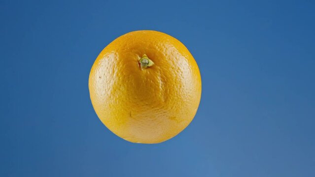 Isolated orange turning against the backdrop of a keyable blue screen