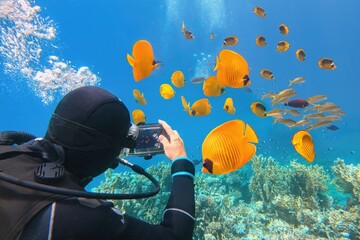 Man scuba diver using underwater smartphone housing for shooting beautiful yellow coral fish.