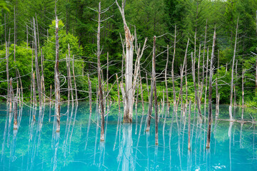 홋카이도, 비에이