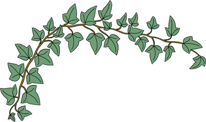 Simplicity ivy freehand drawing